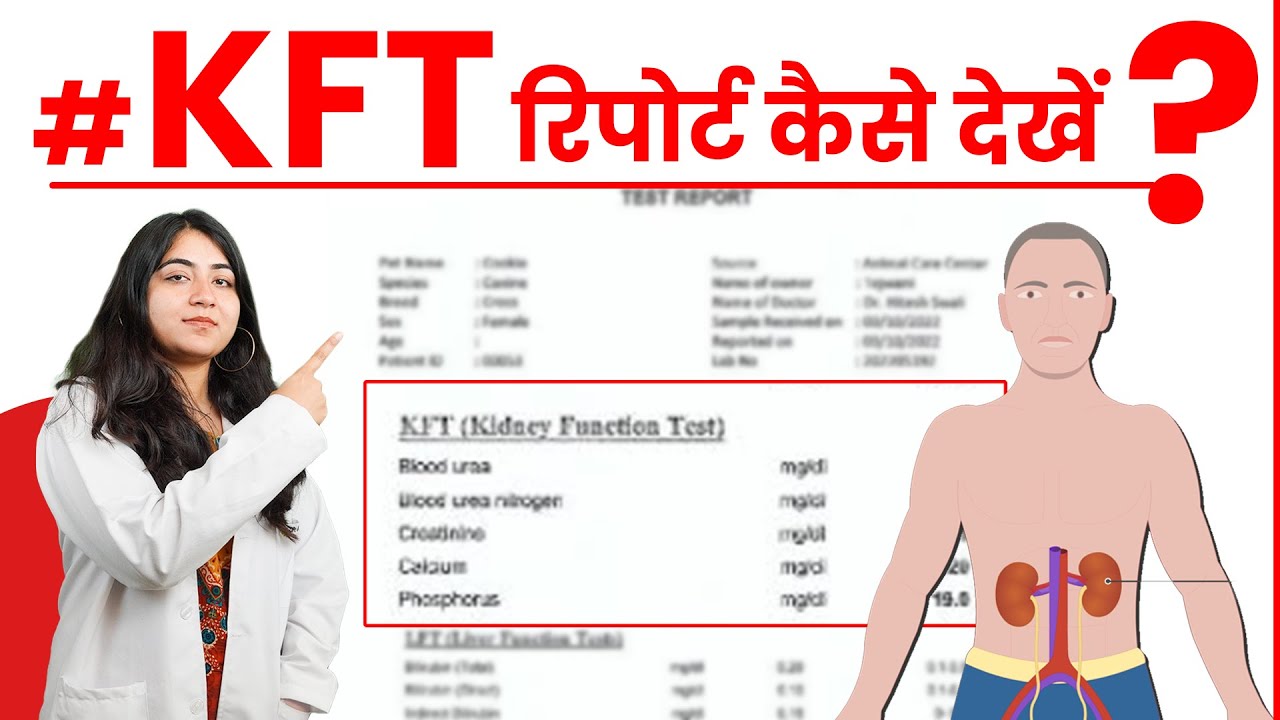 KFT Test Report Kaise Dekhe KFT Test Kya Hota Hai Kidney Function Test Report in Hindi YouTube