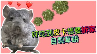 【皓奇寵物】龍貓 一次就上手 好吃到皮卡想要拆房子的自製草餅!!! by 皓奇寵物 3,726 views 3 years ago 8 minutes, 20 seconds