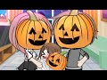 Pumkin trend