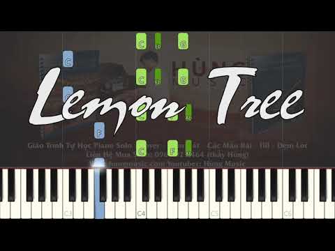 Lemon Tree Piano - Hùng Music