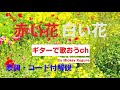 『赤い花白い花』ウィッシュのギター弾き語りレッスン動画です。アコギ用に歌詞とギターコード付き（動画と説明欄）で解説。【ギターで歌おうch】は、ギターに再挑戦するシニア向けギター講座です。