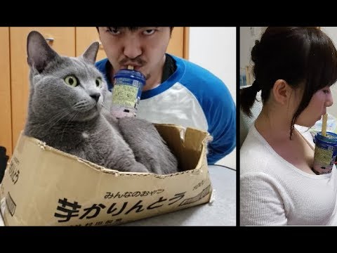 【タピオカチャレンジ】灰色猫の上に乗せて殴られずに飲む！(おまけ写真入り) - YouTube kokesukepapa