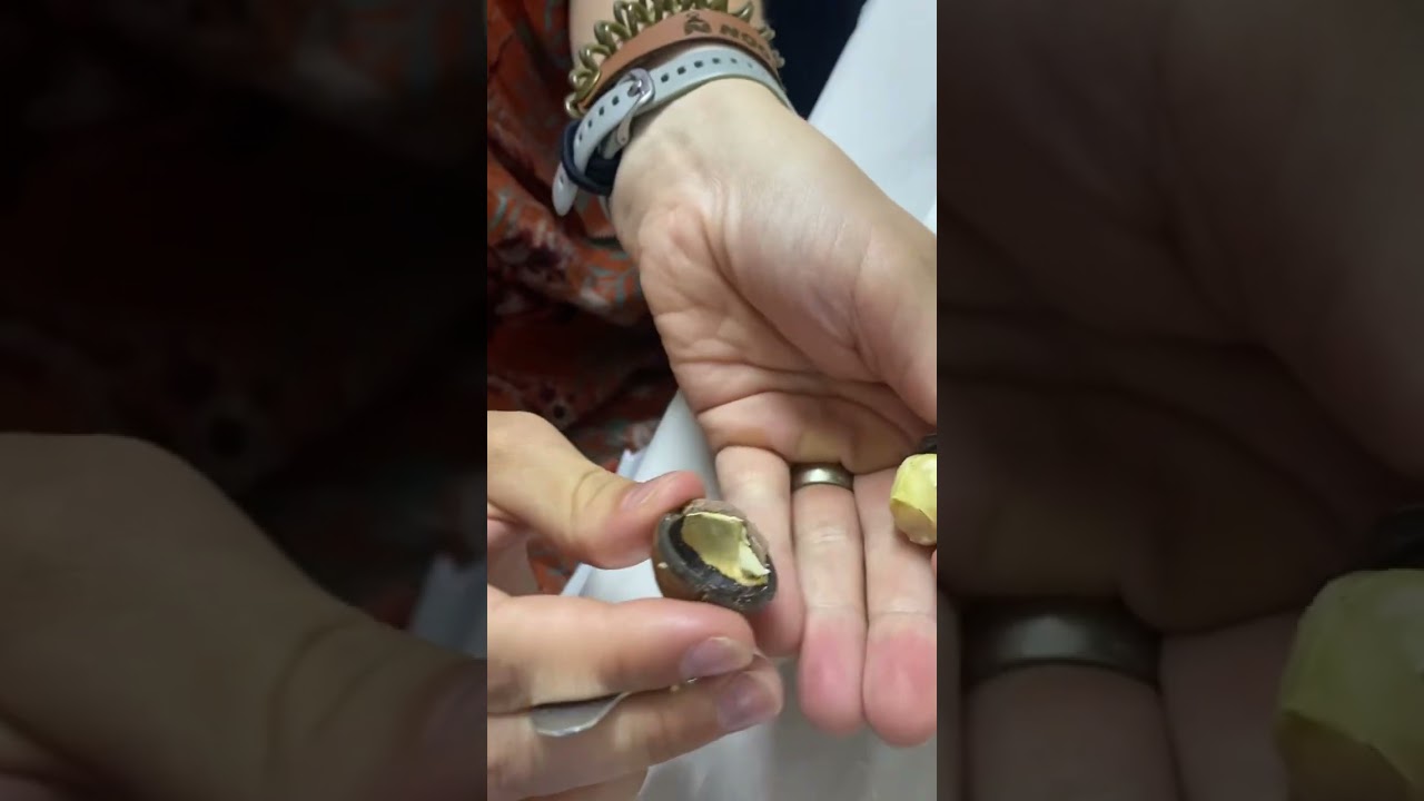 What kind of nut is this?! 