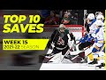 Top 10 Saves from Week 15 of the 2021-22 NHL Season