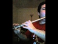Beauty and the beast - Disney Soundtrack on the flute
