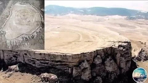 WHO CUT DOWN THE TREES ???