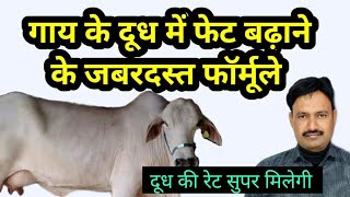 cow ka milk ke fat badhane ke upay गाय के दूध में फैट बढ़ाने के उपाय cow ka fat kaise badhaye