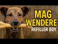 MAGWENDERE Refiller Boy 2025