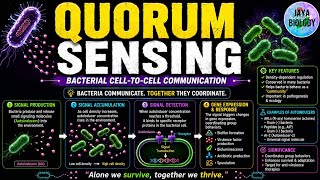 Quorum Sensing | Biofilm Formation & Bacterial Signalling #biologyolympiad #apbiology #ibbiology