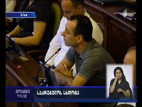 თბილისის ბიუჯეტის კორექტირებული ვარიანტი დამტკიცებულია