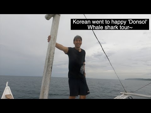 Korean went to happy 'Donsol' , whale shark tour #Philippines #Korean #Tour