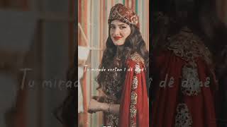 Le Dine - Ciwan Haco