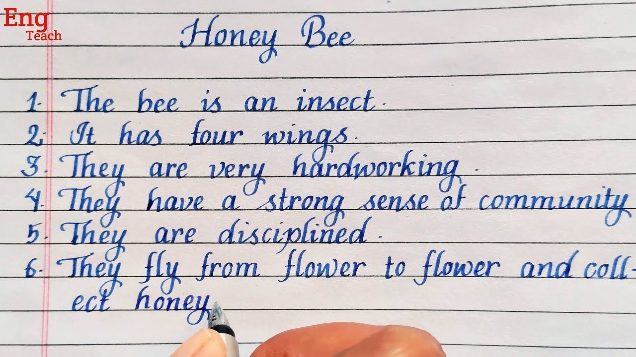 a bee essay for class 1