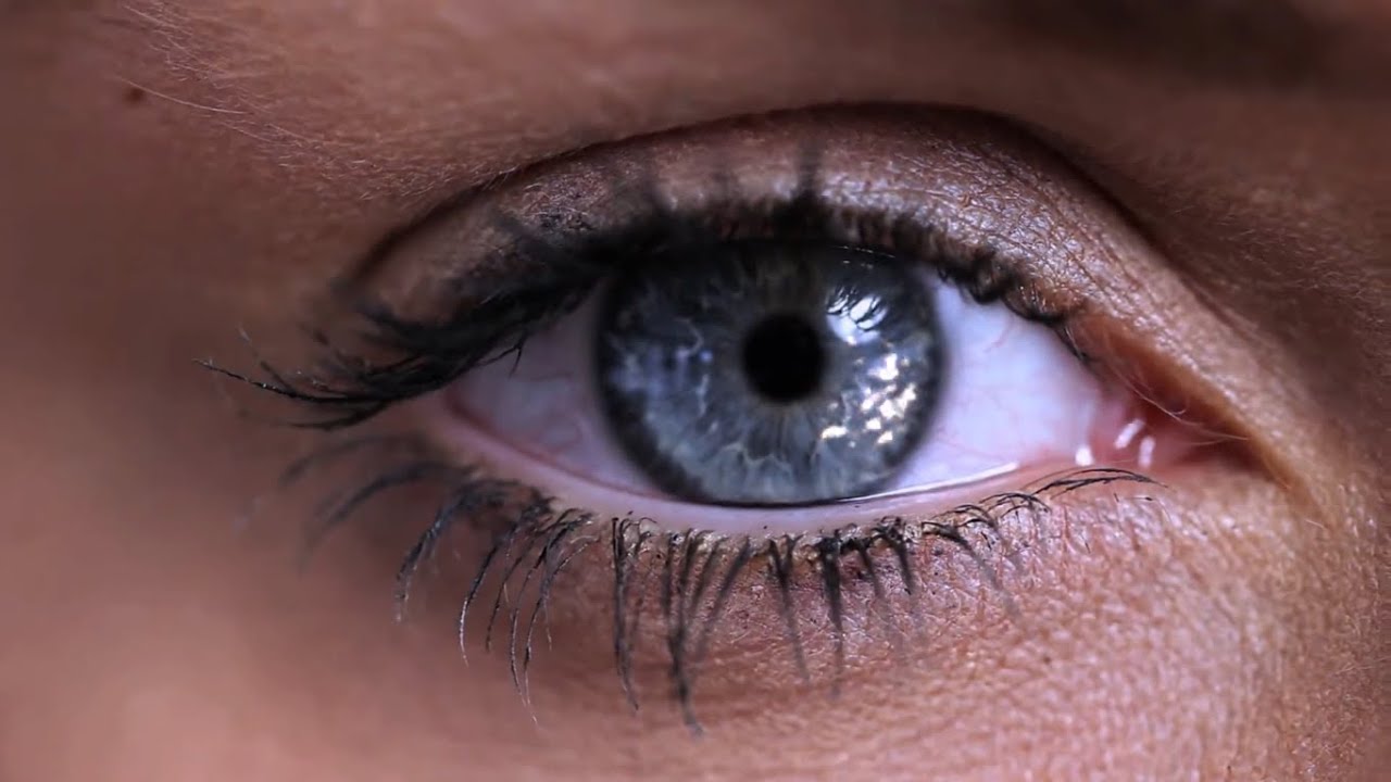 2013 - 2023  Buon Compleanno, Campus Fideuram!