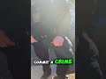 Cops Stop Black Man Without Cause, Exposed On Camera#police #shorts