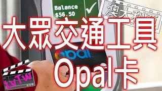 悉尼的公共交通Opal卡