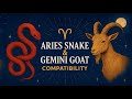 Aries Snake &amp; Gemini Goat Compatibility: The Truth About Their Love, Friendship &amp; Destiny