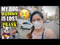 Bunny Gum Gya 😱 They did Prank on me | my dog is lost | Harpreet SDC