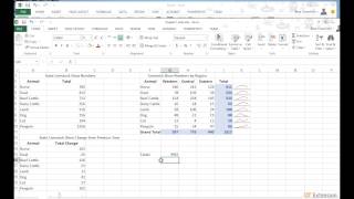 Working with Multiple Worksheets and Workbooks