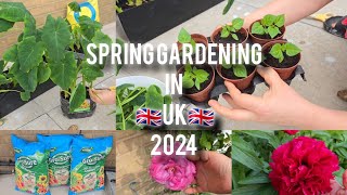 Spring Gardening in  UK 2024! love you jindagi ❤❤