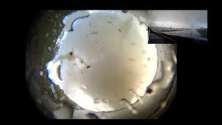 Tornado hits 360 camera probe!!