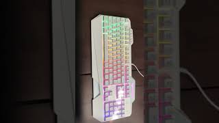 Reviewing the Magic Eagle Havit gaming keyboard.