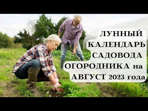 ЛУННЫЙ КАЛЕНДАРЬ САДОВОДА ОГОРОДНИКА на АВГУСТ 2023┃#луна #календарь #август #2023 #сад #совет #топ