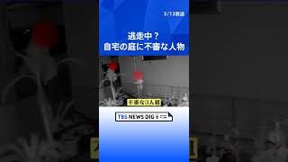 「来てない？行こう」逃走中だった？自宅の庭に3人組の不審な人物が… フェンス破壊・植物折れる被害も 防犯カメラが一部始終を激撮｜TBS NEWS DIG #shorts