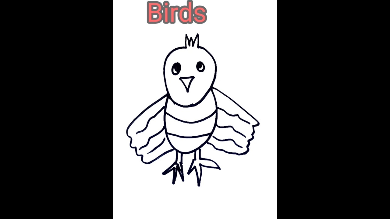 Owl 🦉 Drawing, Painting and Coloring for kids and toddlers | Draw owl 