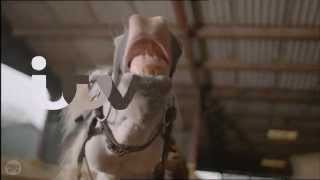 ITV ident 2013 - Horse