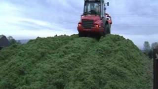 Moover - Chopping wet grass