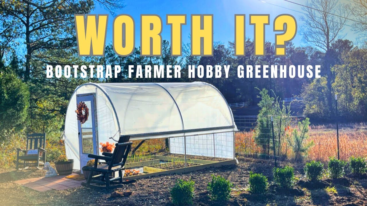 Эта теплица для хобби стоит каждой потраченной на неё копейки.