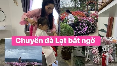 ĐI CƯỚI ĐÀ LẠT VÀ ĐI CHƠI .QUÁ ĐẸP ĐÀ LẠT THÁNG 10 .( phân 1)