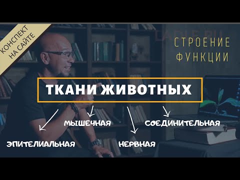 Видеоурок биология 6 класс ткани животных