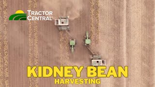 John Deere Tractors, Pull Type Combines: Kidney Bean Harvesting