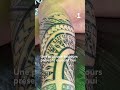 Julien Fiafialoto Maître TATOUAGE.