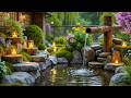 Peaceful Water Sounds for a Calm Night 🌌