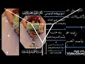 زفه حماسيه بإسم العروسه خلود حصريا 