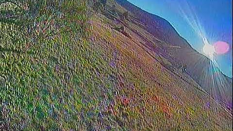 Bidirectional Dshot Rpm filter testing