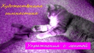 ХУДОЖЕСТВЕННАЯ ГИМНАСТИКА. УПРАЖНЕНИЯ С ЛЕНТОЙ ♥ LESANA!(Меня зовут Олеся и я рада приветствовать Вас на моём канале! ♥ ♥ Сердечно благодарю Вас за просмотры,..., 2016-06-24T20:07:54.000Z)