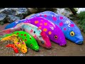 Stop Motion Cooking ASMR - 무지개 악어, 오리 새끼 Satisfying Catfish Carp Fishing Pink Eel | 재미있는 스톱 모션 만화