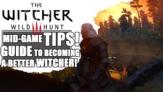 Witcher 3 | MIDGAME TIPS! Things I WISH I KNEW to DO EARLIER!