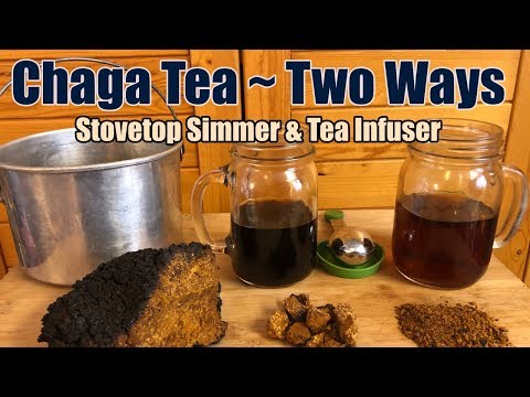 How To Make Chaga Mushroom Tea Two Ways - Medicinal Mushroom Tea