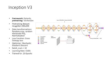 Studying Cross Transferrablility of Vision Transformers using HAM10000 skin cancer dataset