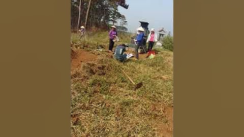 Ngày 3/3 âm lịch hàng năm là ngày tảo mộ của đân tộc tày nùng tại tây nguyên