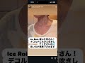 工藤静香 木村拓哉 Cocomi Kōki @kudo_shizuka @takuya_kimura_takuya @cocomi_553_official @koki