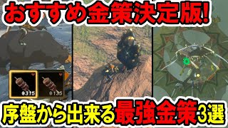 【ティアキン】おすすめ金策決定版！序盤から出来る最強金策3選！【ゼルダの伝説】