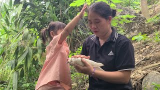 Harvesting eggplants for sale - missing pigeon, how to salt eggplants