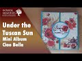 270 - Under the Tuscan Sun - mini album