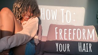 How To Start Freeform Locs